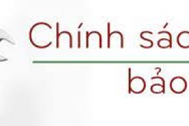 Chính sách bảo hành